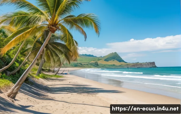 에콰도르에서 서핑하기 좋은 해변 - A serene coastal scene at Playas Villamil beach in Ecuador during a sunny day, featuring a beginner ...